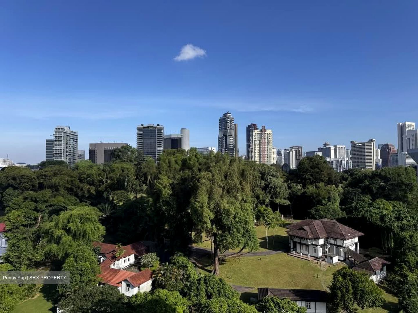 Balmoral 8 (D10), Condominium #577525931